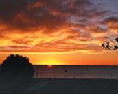 Edgewater Motor Lodge Napier New Zealand